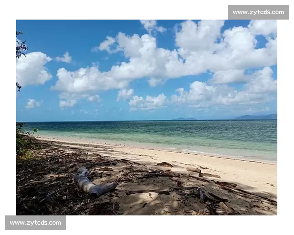 雷尼尔：五年漂泊终返巴西，欧洲豪门的关爱荒漠